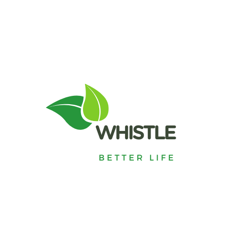 T/A Whistle Clean Property logo